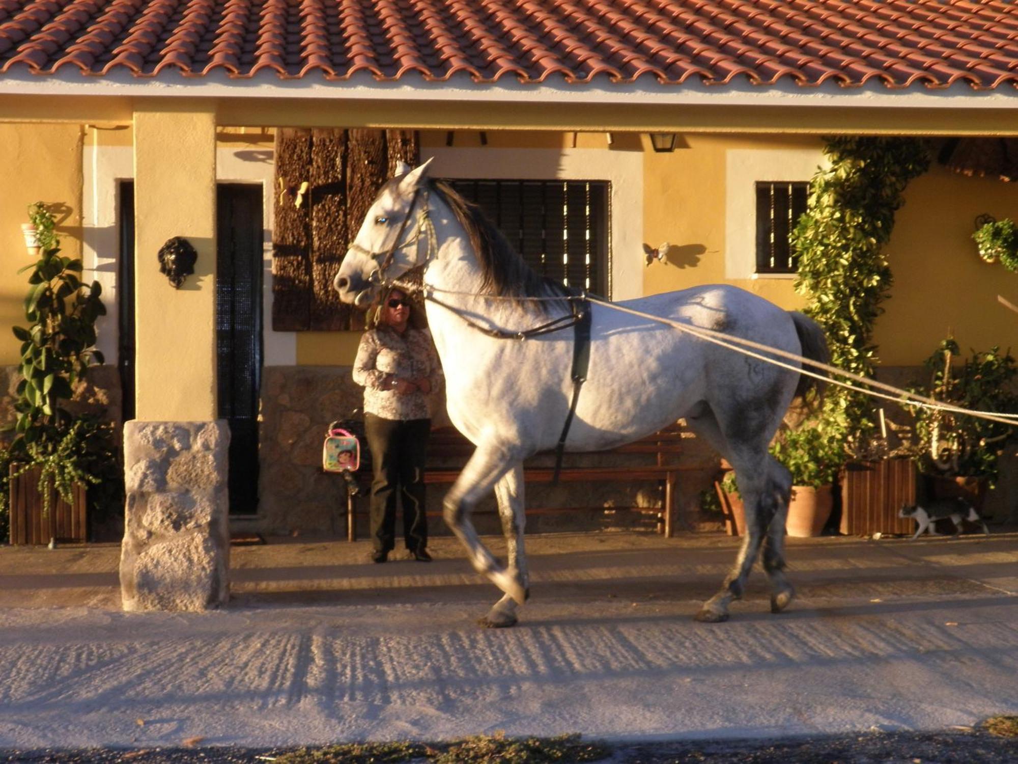 La Posada Hípica Rosalejo  Exteriér fotografie