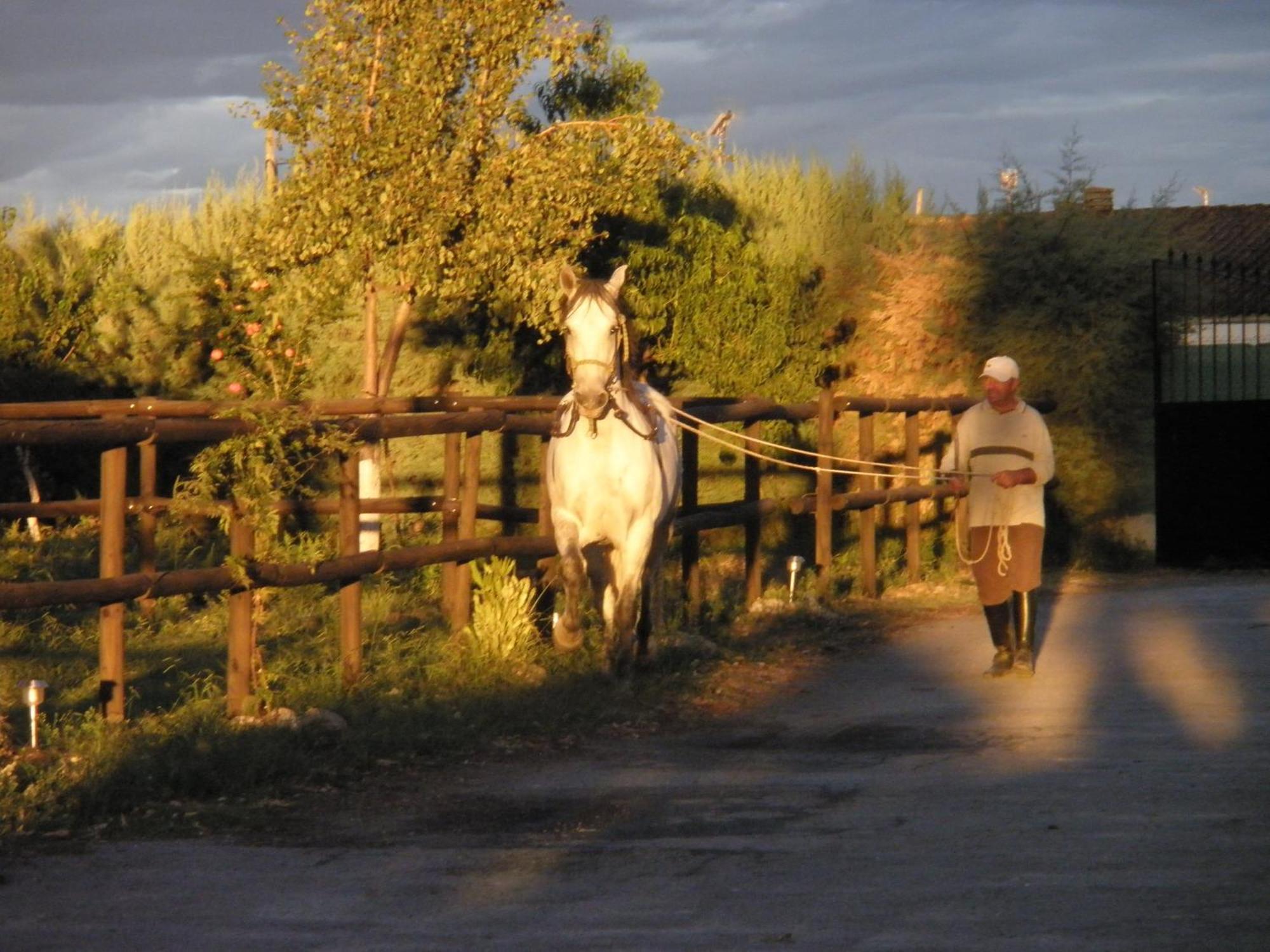 La Posada Hípica Rosalejo  Exteriér fotografie