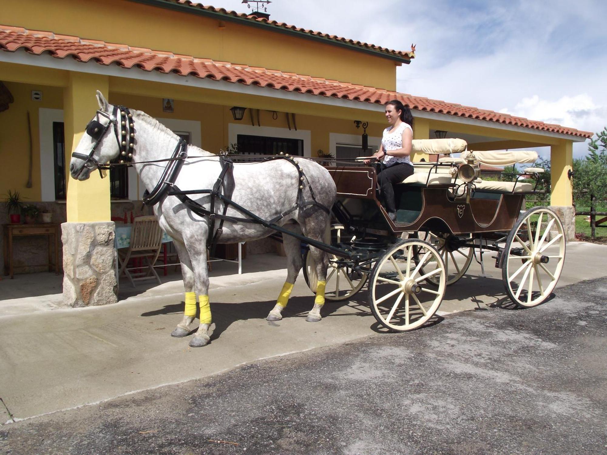 La Posada Hípica Rosalejo  Exteriér fotografie