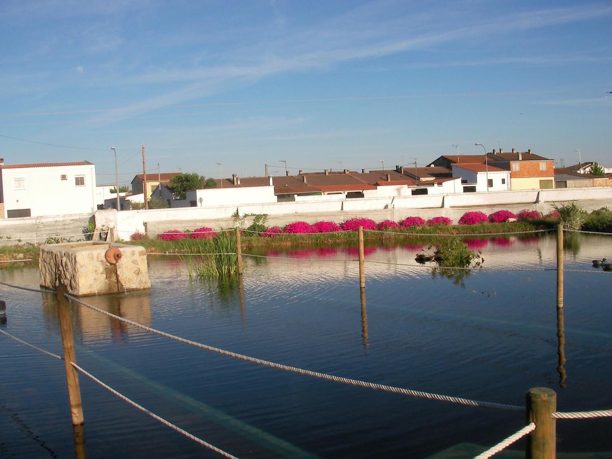 La Posada Hípica Rosalejo  Exteriér fotografie