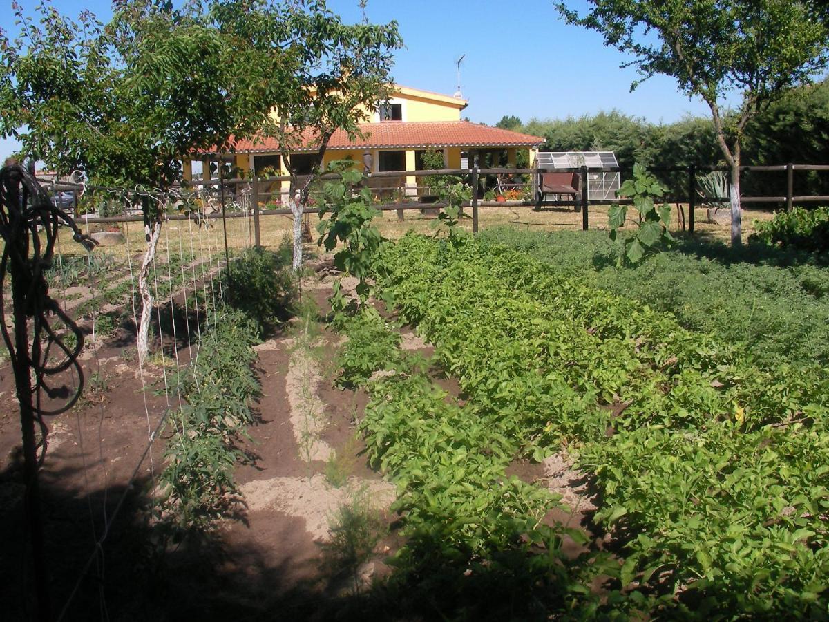 La Posada Hípica Rosalejo  Exteriér fotografie